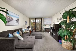 Photo #1: 230009136 Listing 