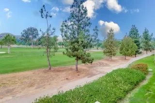 Photo #6: 230009401 Listing