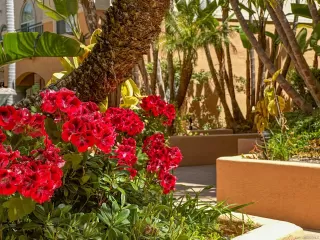 Photo #5: 230009428 Listing