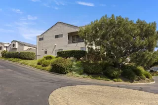 Photo #2: 230009460 Listing