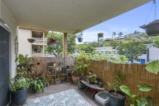 Photo #2: 230009485 Listing