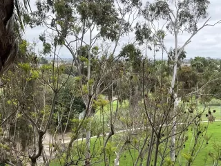 Photo #5: 230009684 Listing 