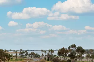 Photo #1: 230009814 Listing