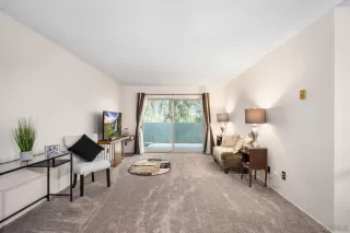 Photo #1: 230009883 Listing