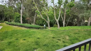 Photo #5: 230009958 Listing 