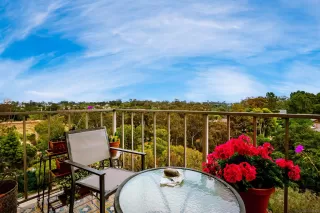 Photo #1: 230010199 Listing