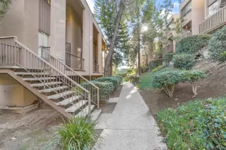 Photo #1: 230010521 Listing