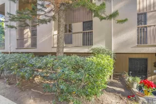 Photo #4: 230010521 Listing