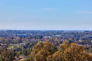 Photo #2: 230010540 Listing 