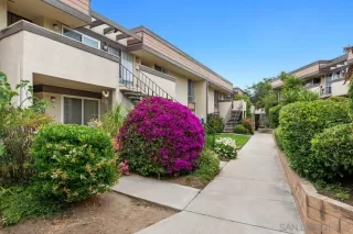 Photo #1: 230010706 Listing