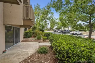 Photo #6: 230010758 Listing