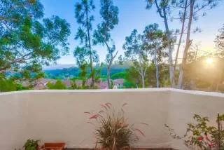 Photo #1: 230010823 Listing 