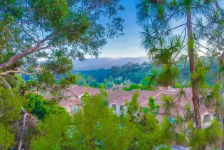 Photo #5: 230010823 Listing 