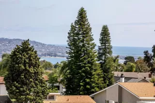 Photo #5: 230010935 Listing