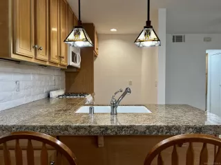 Photo #1: 230010976 Listing