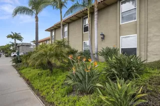 Photo #1: 230011167 Listing