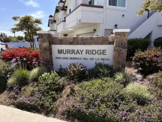 Photo #1: 230011261 Listing