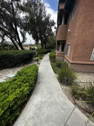 Photo #3: 230011465 Listing