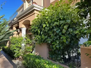 Photo #1: 230011482 Listing