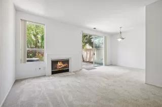 Photo #1: 230011520 Listing