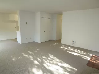 Photo #5: 230011644 Listing