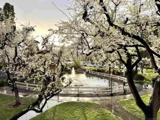 Photo #1: 230011688 Listing