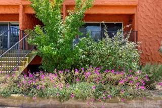 Photo #1: 230011764 Listing