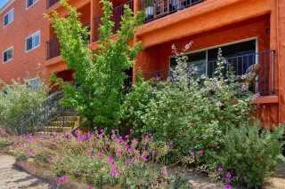 Photo #3: 230011764 Listing