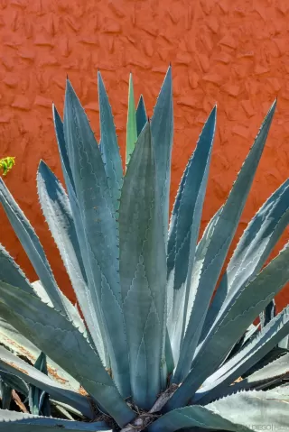 Photo #6: 230011764 Listing