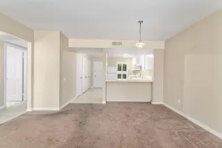 Photo #5: 230011870 Listing