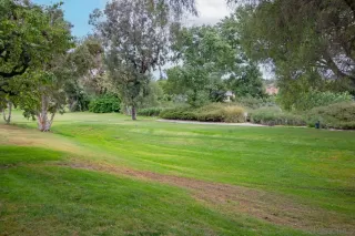 Photo #6: 230011879 Listing