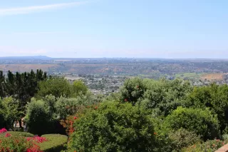 Photo #2: 230012078 Listing