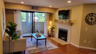 Photo #1: 230012080 Listing 