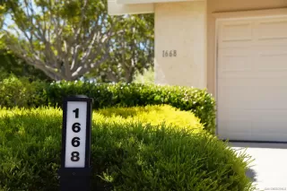 Photo #1: 230012515 Listing 
