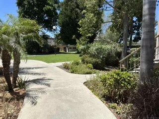 Photo #2: 230012526 Listing