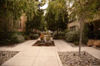 Photo #6: 230012964 Listing 