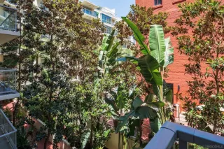 Photo #6: 230013066 Listing