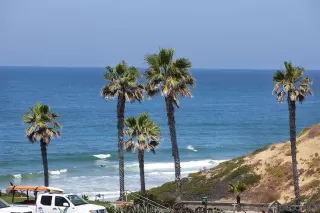 Photo #3: 230013132 Listing