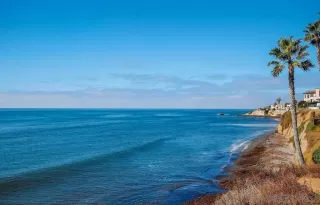 Photo #1: 230013175 Listing