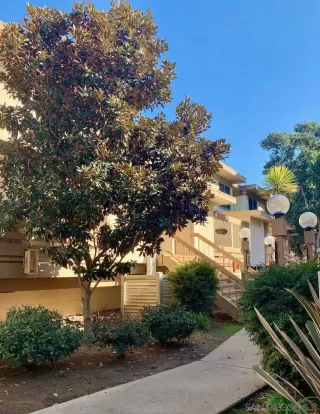 Photo #1: 230013228 Listing 