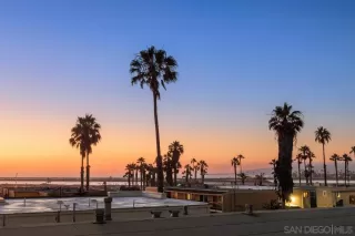 Photo #1: 230013672 Listing 