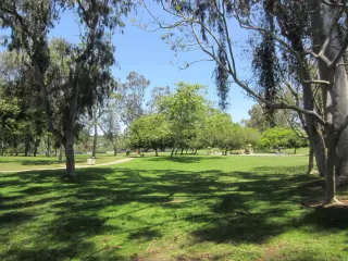 Photo #3: 230013836 Listing