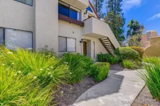 Photo #1: 230013963 Listing 