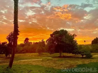 Photo #1: 230014434 Listing