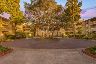 Photo #1: 230014458 Listing