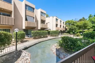 Photo #1: 230014887 Listing 