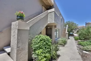 Photo #1: 230015040 Listing 