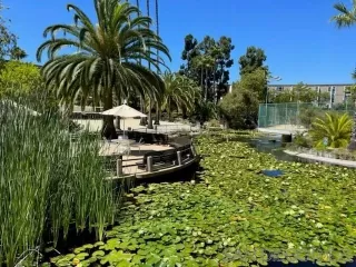 Photo #6: 230015150 Listing