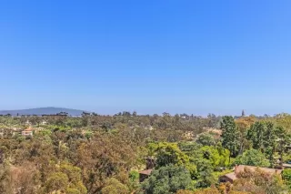 Photo #2: 230015165 Listing