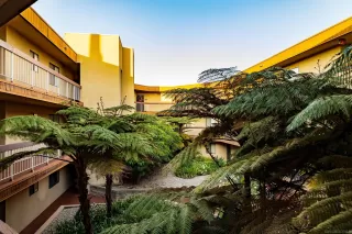 Photo #1: 230015379 Listing